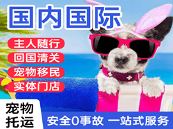 屯溪机场快运国际宠物托运 【国